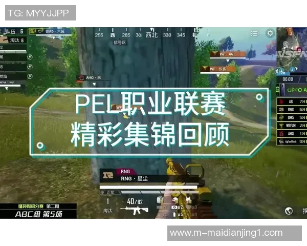 热议和平精英RNG技术变革引发玩家热情与期待的全新篇章实时新闻